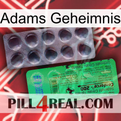 Adams Secret new04